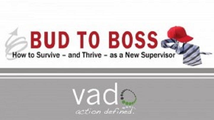 Bud to Boss Toolkit: Becoming a New Manager: For Business and Project Management