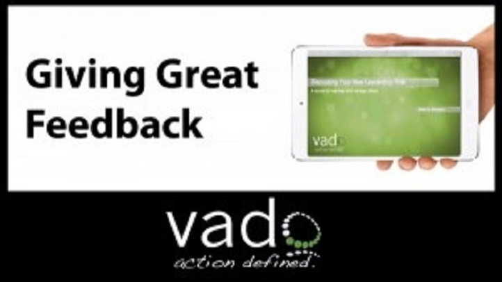 Giving Great Feedback: For Business & Project Management