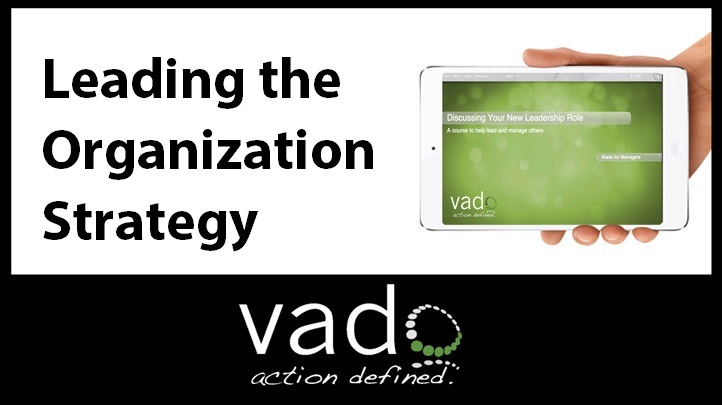 Leading the Organization Strategy: For Business & Project Management, Singapore elarning online course
